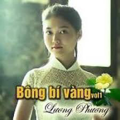 Ca sĩ Lương Phương
